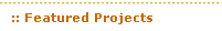 Featured Projects